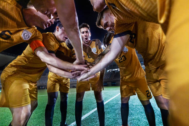 化为实际行 化为实际行